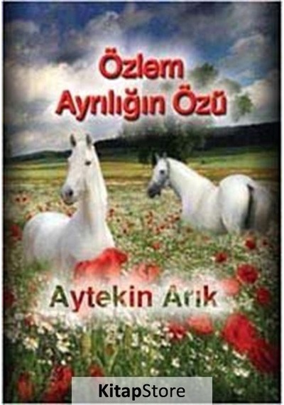 Özlem Ayrılığın Özü - Aytekin Arık - İnsancıl Yayınları