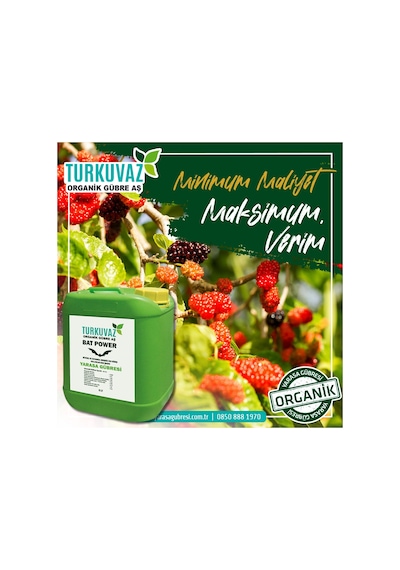 10 L. Turkuvaz Doğal Odun Sirkesi (Zararlılara Organik Çözüm)