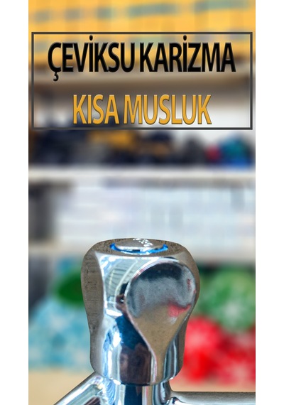 Karizma Model Pirinç Musluk 1/2'' Krom Kaplama Bahçe Balkon Su Musluğu Kısa Tip
