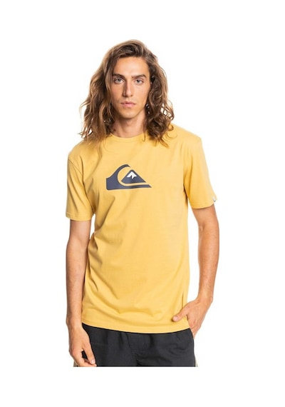 Quiksilver Complogo Erkek Tişört EQYZT06534-YKD0