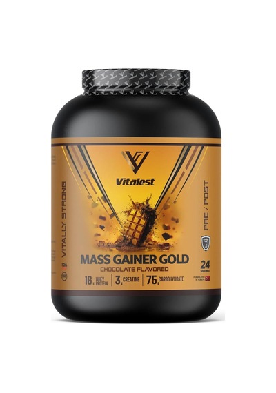 Mass Gainer 2400 Gr Çikolata Aromalı Yüksek Kalorili Kilo Ve Hacim Artırıcı Toz Takviye Sporcu Gıdası Protei Ahududu