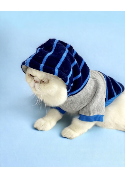 Kemique Blue Line Kapşonlu Kedi Kıyafeti Kedi Sweatshirt