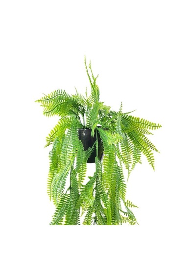Yapay Çiçek Siyah Saksıda Sarkan Çiçek Boston Fern