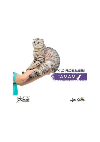 Az Tahıllı Sterilised Somonlu Kedi Maması 12 Kg