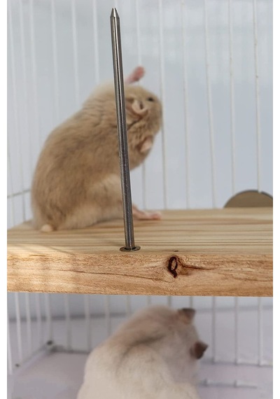 Çivili Meyve Sebze Asmalı Kuş, Hamster Asılı Tünek, Kuş Mama Tutucu, Doğal Ahşap Kuş Kafesi