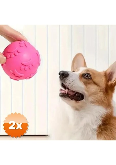 2 Adet Pati Desenli Dayanıklı Köpek Isırma Topu
