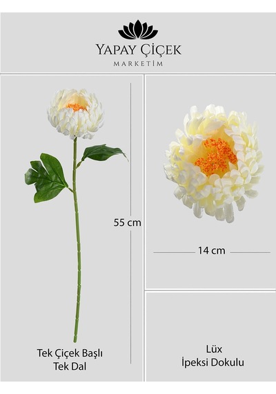 Beyaz Yapay Kasımpatı Çiçeği Tek Dal Lüx İpeksi Dokulu 55 Cm