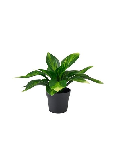 Ikea Fejka Yapay Bitki, Yeşil, 9 Cm, İç/dış Mekan Muz Zambağı