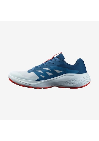 Salomon Alphaglıde Erkek Ayakkabısı L47724300 Çok Renkli