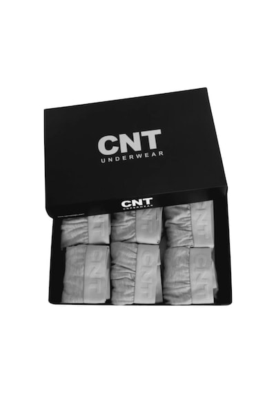 Cnt Erkek Slip Külot Boxer Bel Likralı 6'lı Premium Kutuda Gri Gri