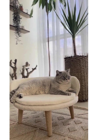 Missidea Puffy Kedi Ve Köpek Koltuğu Yumuşak Minderli Evcil Hayvan Yatağı