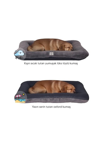 Jungolica Sally Kedi Ve Köpek Yatağı Koyu Gri Antrasit Küçük 52x70x10 Cm,%100 Su Geçirmez Alezli, Çift Taraflı Dört Mevsim, Çıkarılabilir Yıkanabilir Minder, Konforlu Pet Yatağı Medıum Jungolica Sally Kedi Ve Köpek Yatağı Koyu Gri Antrasit Küçük 52x70x10 Cm,%100 Su Geçirmez Alezli, Çift Taraflı Dört Mevsim, Çıkarılabilir Yıkanabilir Minder, Konforlu Pet Yatağı Medıum