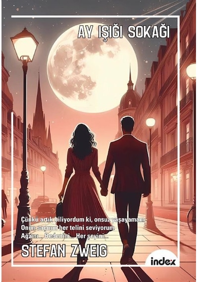 Ay Işığı Sokağı Yeni Çeviri / Stefan Zweig