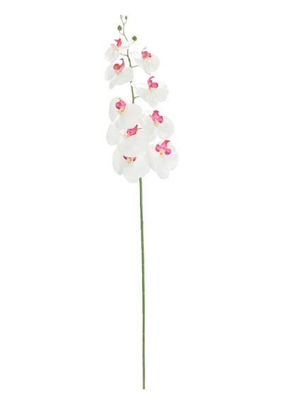 Yapay Orkide Dalı Fuşya Beyaz 100 Cm-10353