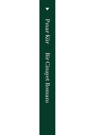 Bir Cinayet Romanı - Pınar Kür - Can Yayınları