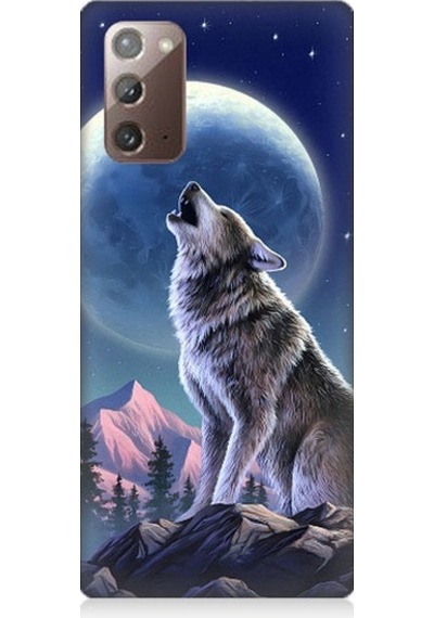 Samsung Galaxy Note 20 Uyumlu Kurt Ve Ay Desenli Silikon Kılıf