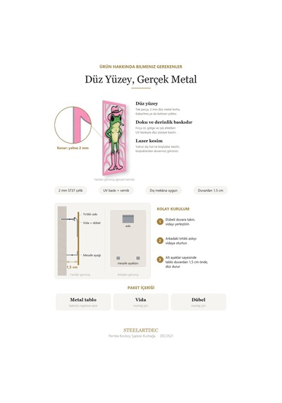 Pembe Kovboy Şapkalı Kurbağa Metal Tablo 63x95 Cm Çok Renkli