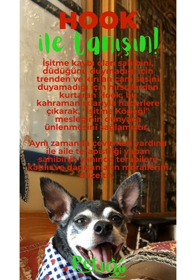 Petjoo 7.Hook Yeşil-Kırmızı Qr'lı Köpek Künyesi