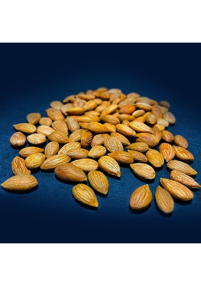 Meykuru Kayısı Çekirdeği 1 KG