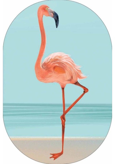 Turkuaz Flamingo Banyo Halısı Klozet Oval Paspas Seti Bs085n11