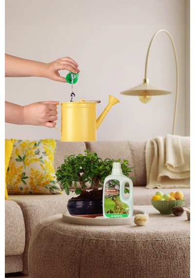 Bonsai Sıvı Bitki Besini 500 Ml Zengin Ve Dengeli Içerik 1 kg