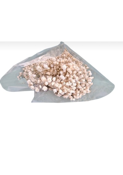 Şoklanmış Kurutulmuş Cipso Çiçeği 1 Demet 50-60gr - 35-45cm Naturel