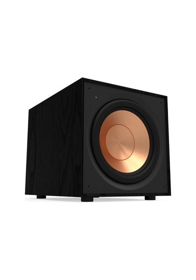 R-101sw Subwoofer - 10 İnç Yüksek Verimli Subwoofer Sürücü, Dahili Dijital Amfi, Düşük Frekanslarda Derin, Güçlü Ve Hassas Bas Sesleri, 300 Watt Güç Çıkışı, Siyah