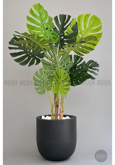 Yapay Monstera Ağacı Deve Tabani 180 Cm Antresi T Çeşme Saksıda Antresit