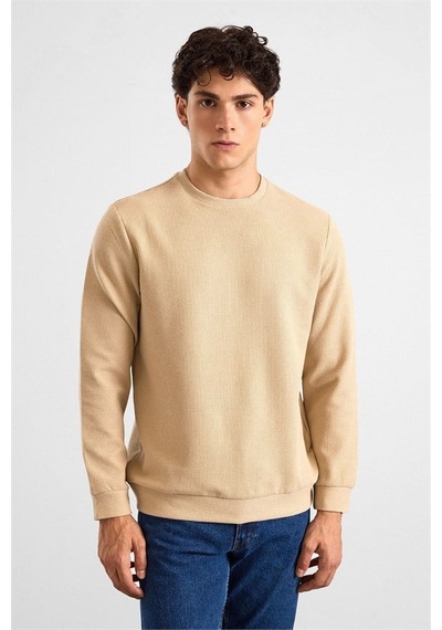 Süvari Bej Regular Melanjlı Baskısız Waffle Bisiklet Yaka Cepsiz Düz Sweatshirt Sw2013700027-bj3 Süvari Bej Regular Melanjlı Baskısız Waffle Bisiklet Yaka Cepsiz Düz Sweatshirt Sw2013700027-bj3