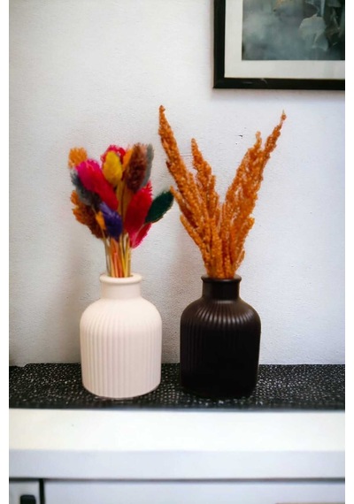 Bernami Mum Pinterest Dekoratif Minimal Pampas Siyah Beyaz 2'li Çizgili Vazo Çiçekler Dahil Değildir Diğer