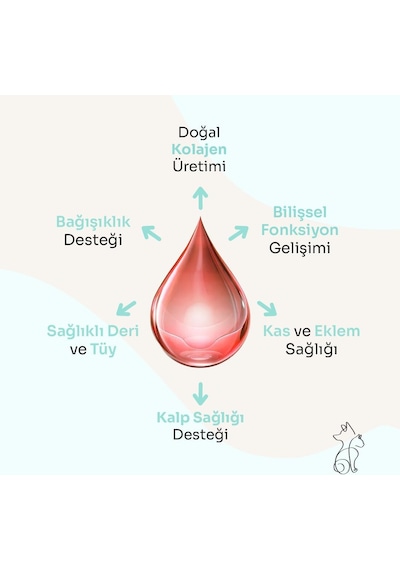 Pure Salmon Vitality%100 Doğal Norveç Somon Yağı, Omega 3 Ve 6, E Vitamini, Kedi Ve Köpek, 250 Ml