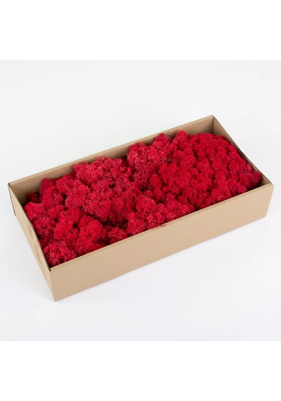 Reindeer Moss Kırmızı Şoklanmış Norveç Yosunu 250gr