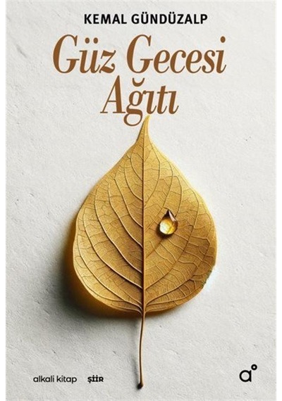 Güz Gecesi Ağıtı / Kemal Gündüzalp