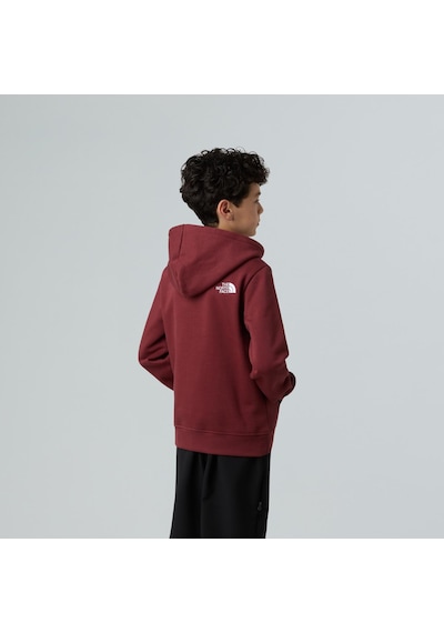 The North Face Teen Drew Peak Pullover Hoodıe Genç Çocuk Sweatshirt Nf0a8ehh0vo1 Çok Renkli