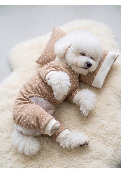 Latte Sprinkles Köpek Uyku Takımı Pamuklu Penye Köpek Tulumu Ve Mini Yastık Küçük Irklar İçin Tüy Dökülmesini Azaltır
