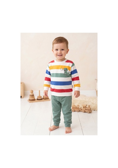 Deniva Kids Erkek Bebek Yeşil Çizgili Dinozor Nakışlı %100 Pamuk Sweatshirt Eşofman Alt Üst Takım