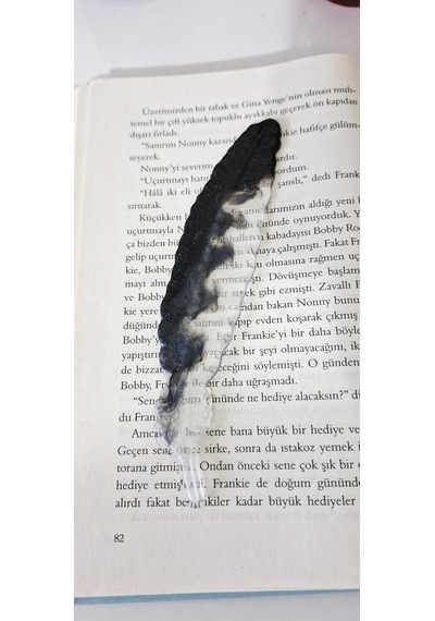 Siyah Tüy Şeklinde Kitap Ayracı, Dekoratif Tasarım