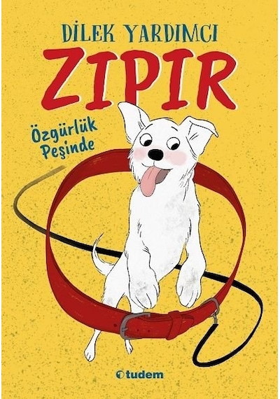 Zıpır Özgürlük Peşinde - Dilek Yardımcı - Tudem Yayınları