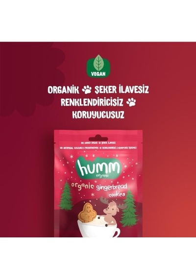 Bezos Organik Zencefilli Ve Tarçınlı Vegan Kurabiye 55 Gr Nıda