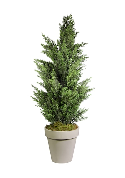 Yapay Limon Servi Çam Ağacı 135 Cm Yeşil