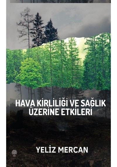 Hava Kirliliği Ve Sağlık Üzerine Etkileri / Yeliz Mercan