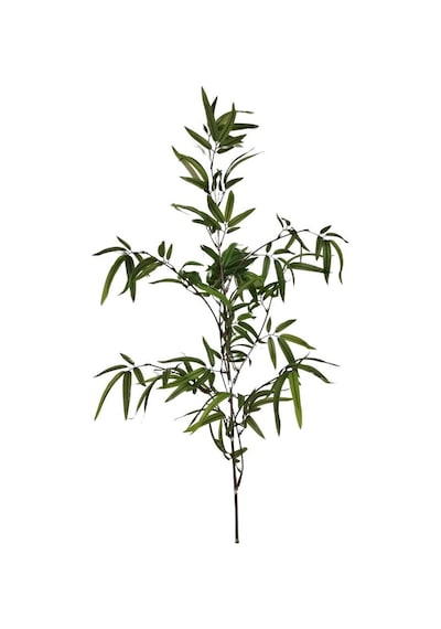T.concept Dekoratif Yapay Bambu Dal 160 Cm 1 Adet