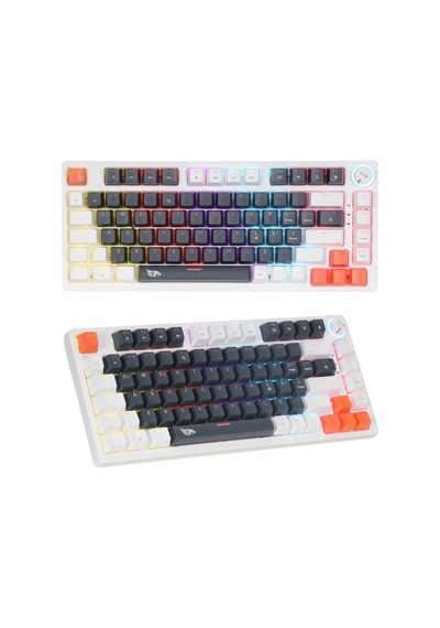 Mekanik Rgb Gaming Kablolu Klavye 81 Tuşlu Mavi Switch Hot Swap Double Shot Örgü Kablolu Oyuncu Klavyesi