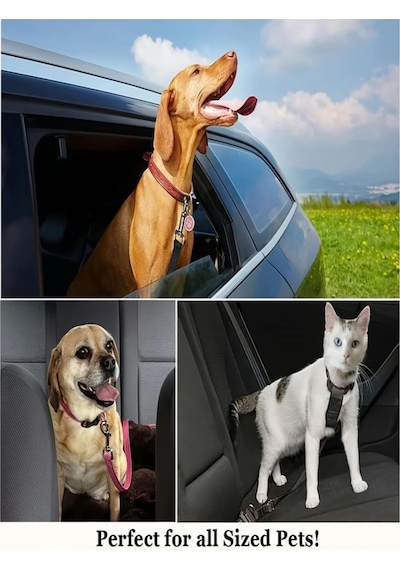 Araç Köpek Kedi Koltuk Emniyet Kemeri Evcil Hayvan Araba Metal Emniyet Halkası Tasması Tokası