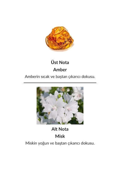 Alescia St-79 Kadın Parfüm EDP 50 ML