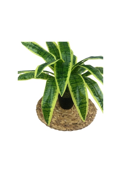 Yapay Çiçek Masengena Sansevieria 12 Dal 40x50Cm Salon Çiçeği Pla