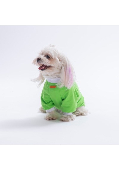 Green-yeşil Yourself Love Sweat Kedi Köpek Sweati - Kedi Köpek Kıyafeti