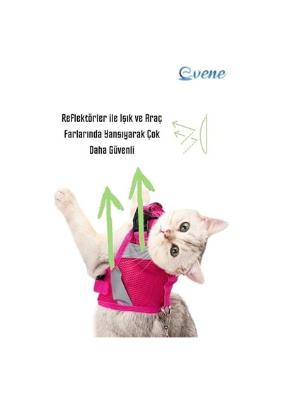 Kedi Tasması Göğüs Boyun Tasma Seti Sevk Kayışlı Terletmeyen Nefes Alan Reflektörlü Tasma M, Pembe