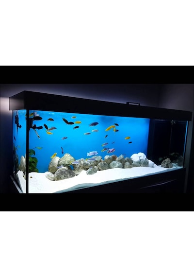 Beyaz Silis Akvaryum Kumu 5 Kg 1-1.50 Mm