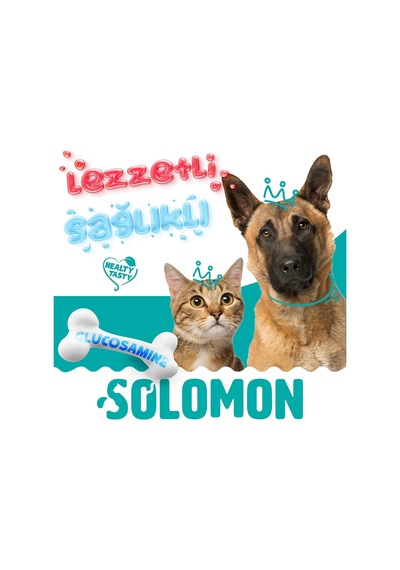 Ayrex Solomon Glucosamine Tablet Kedi Ve Köpekler İçin Eklem Ve Kas Sağlığı Tamamlayıcı Glukozamin Takviye Gıda
